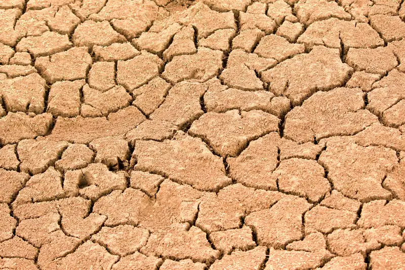 Sol argileux fissuré par la sécheresse, illustrant le phénomène de retrait-gonflement des argiles