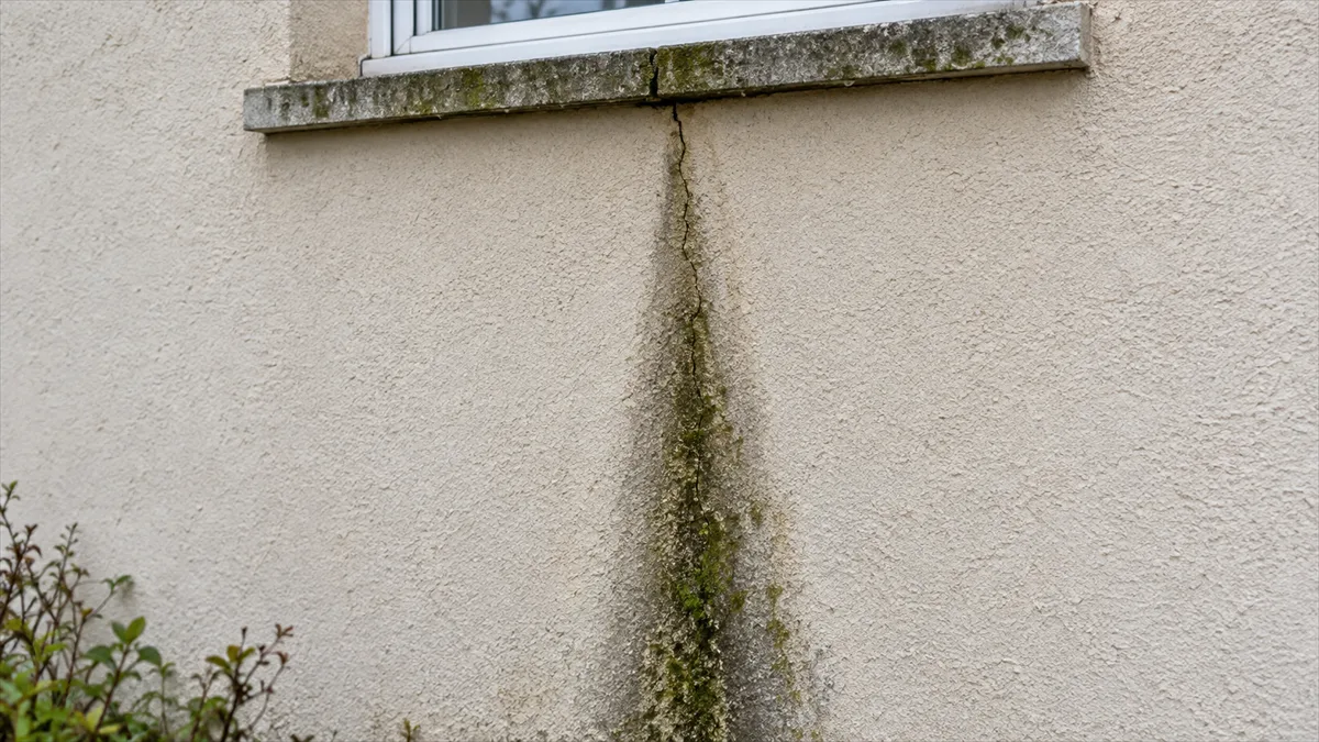 Fissure verticale sur une façade avec une traînée sombre d'humidité descendant le long du tracé