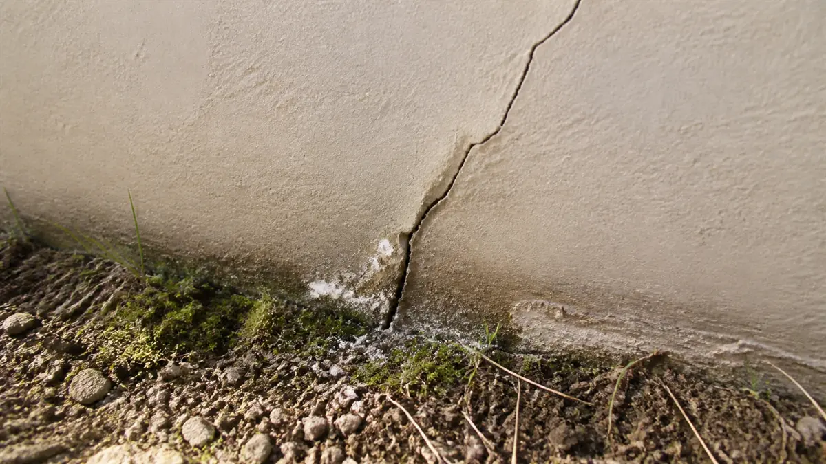 Gros plan en pied d'un mur de soutènement enduit montrant une fissure diagonale accompagnée d'un léger bombement de la paroi et de traces d'humidité au niveau du sol