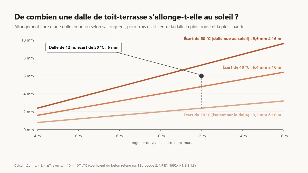 Graphique de l'allongement d'une dalle de toiture en béton en millimètres selon sa longueur de 4 à 16 mètres, pour trois écarts de température de 20, 40 et 60 °C, calculé avec le coefficient de dilatation de l'Eurocode 2