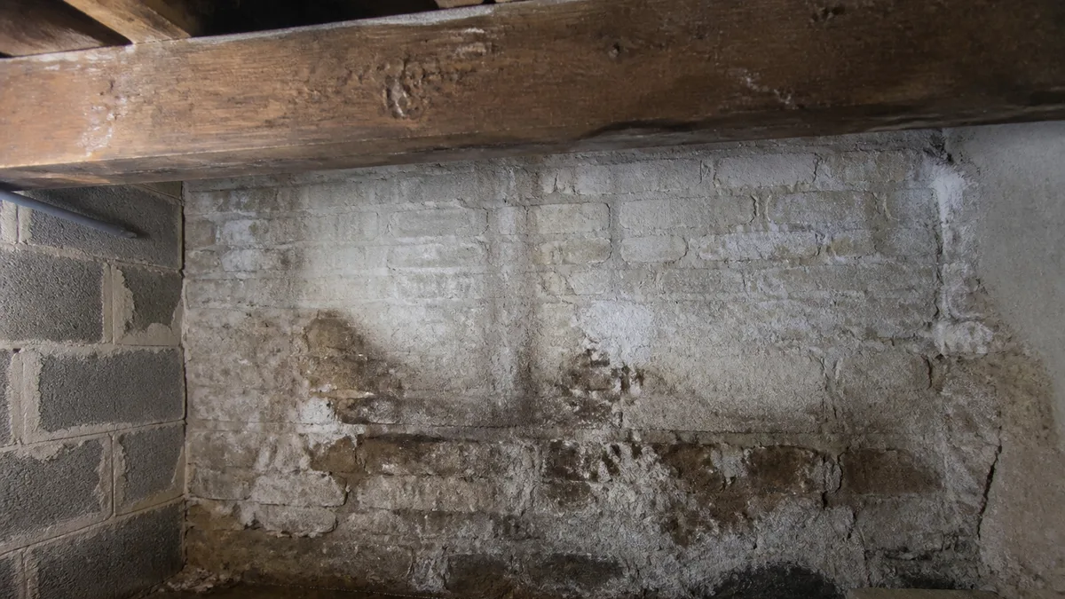 Sous-sol ou pavillon francilien avec traces d'humidité sur un mur, aucune personne dans le cadre