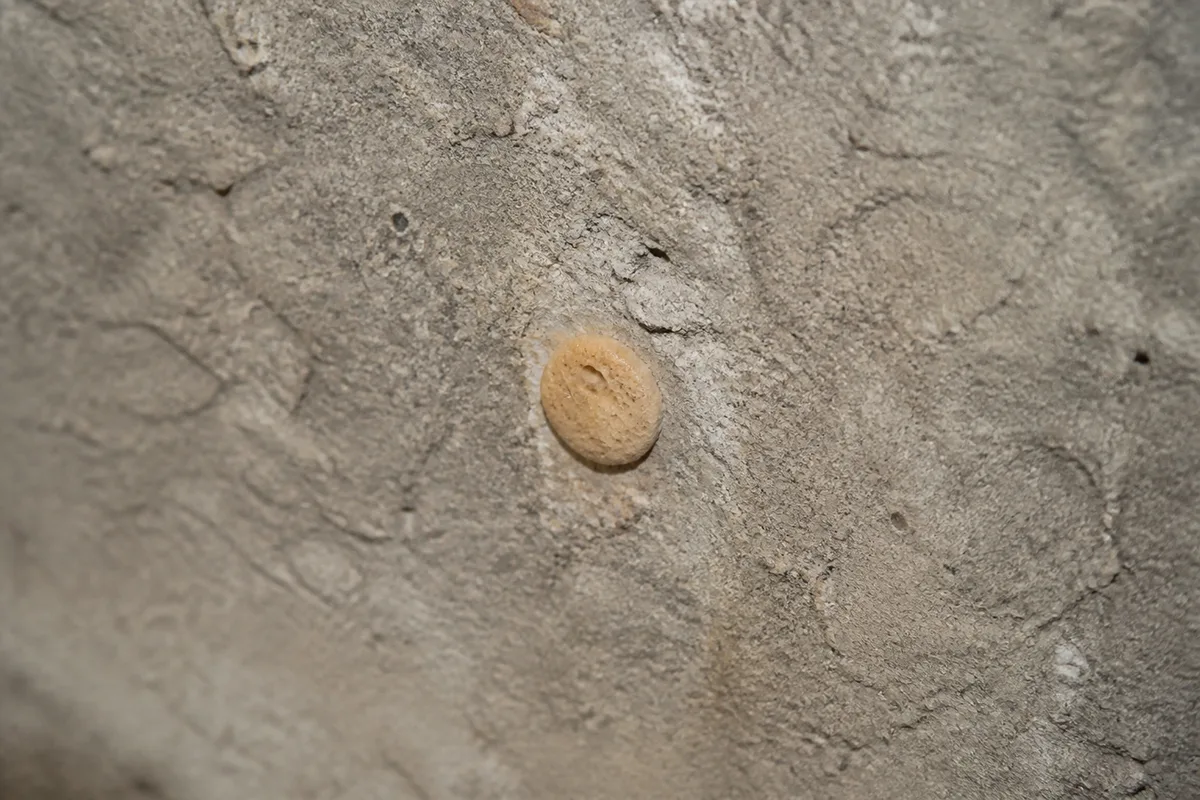 Léger suintement de résine expansive durcie autour d'un petit orifice de forage dans une dalle béton, quelques minutes après l'injection