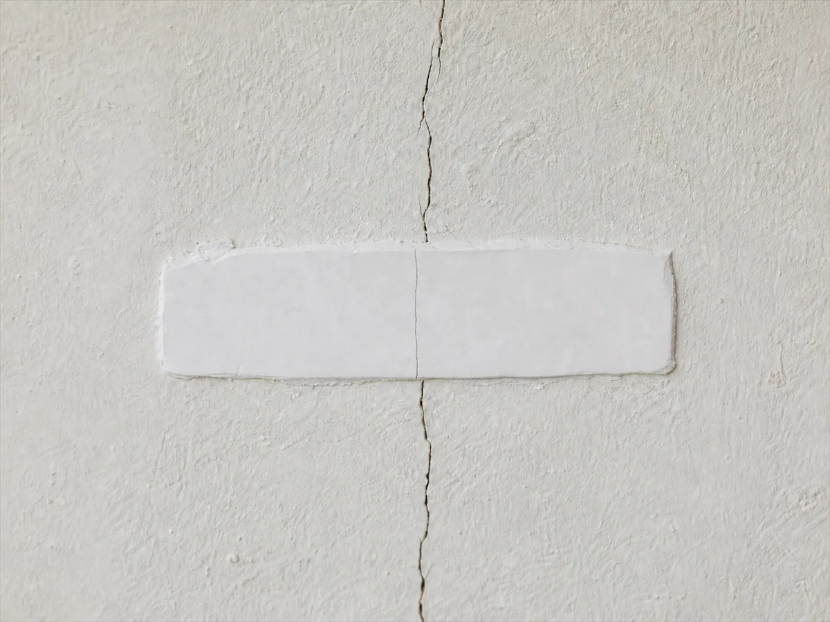 Même témoin en plâtre, désormais rompu par une fine cassure nette, signe d'un mouvement du support
